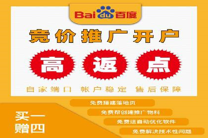 百度推广代运营公司服务详解：全方位的广告策略